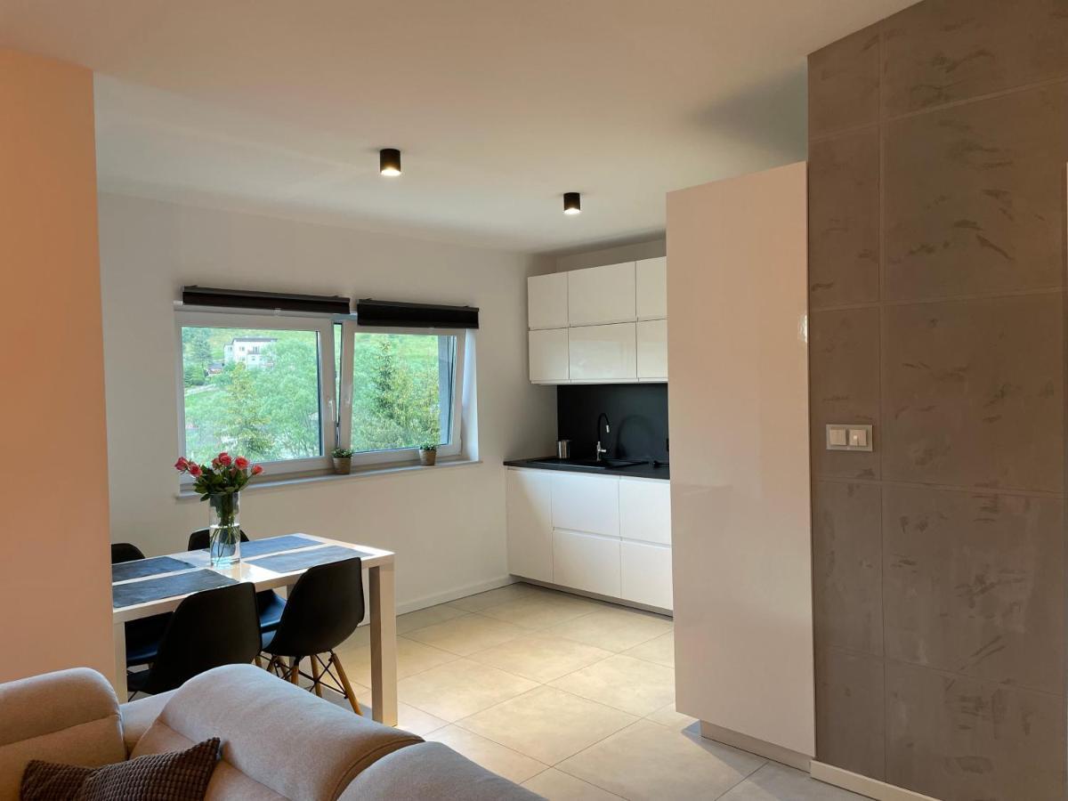 Apartament Z Klimatem II Вісла Екстер'єр фото